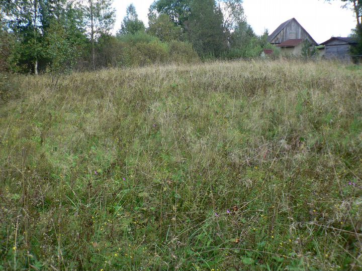 Участок 14 сот. (ИЖС)