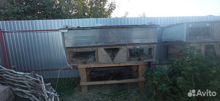 Клетка для кролика большая бу