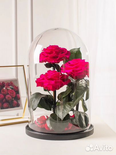 Вечная роза в колбе
