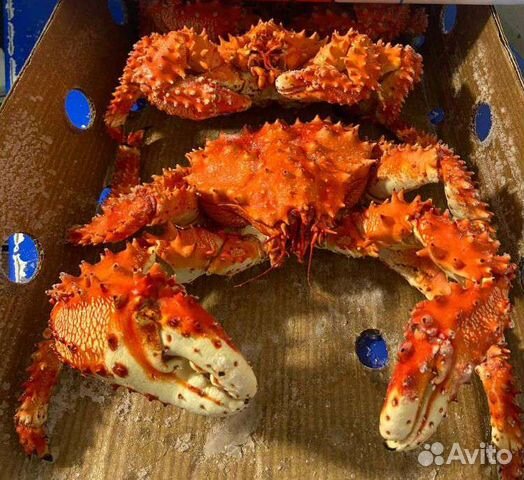 Камчатские крабы