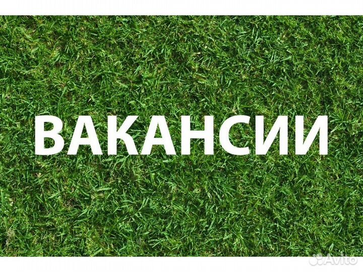 Подсобный рабочий вахта до 75 смен Без опыта