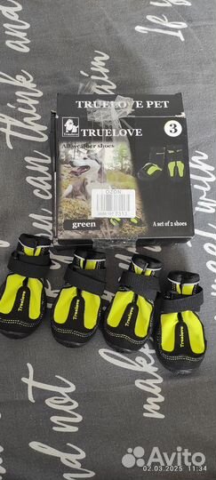 Обувь для собак