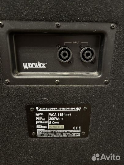 Warwick wa 300 + wca 115(1x15)