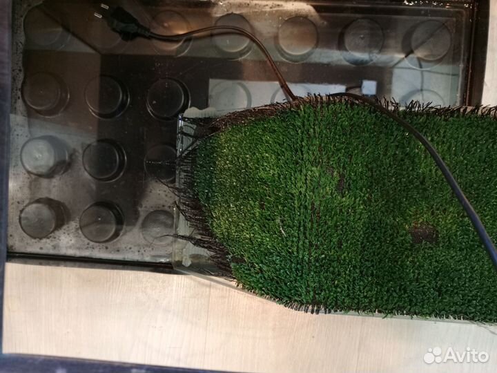 Аквариум черепашник