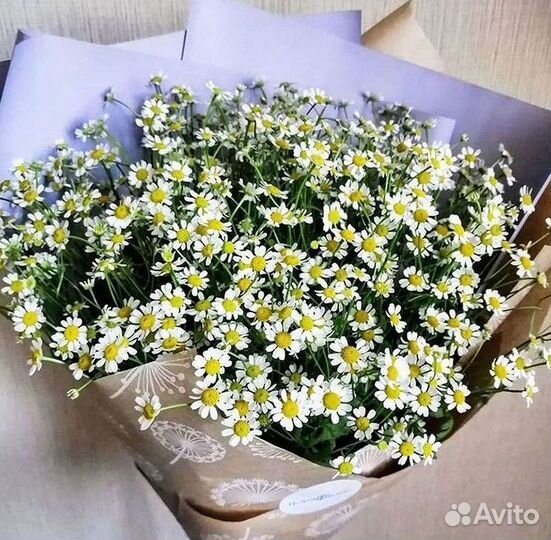 Букеты ромашек