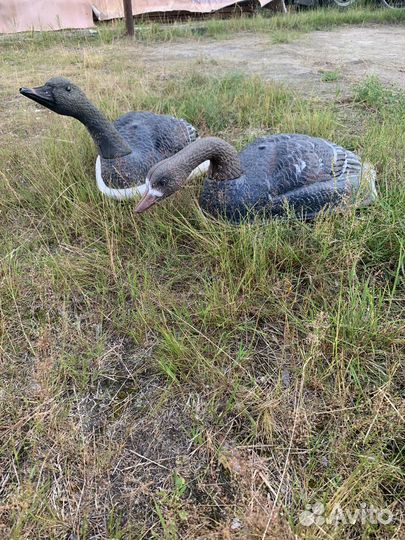 Чучела гусей