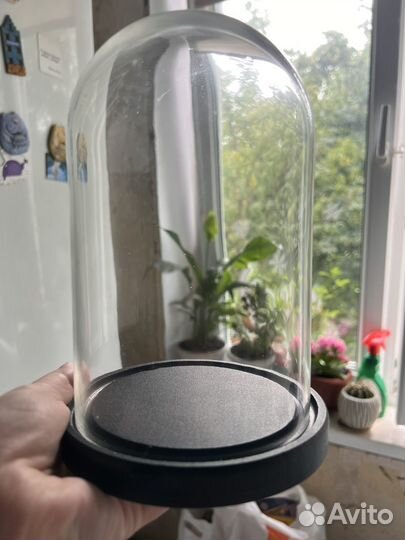 Стеклянная колба/купол стеклянный