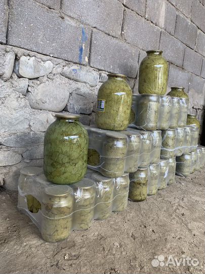 Виноградные листья