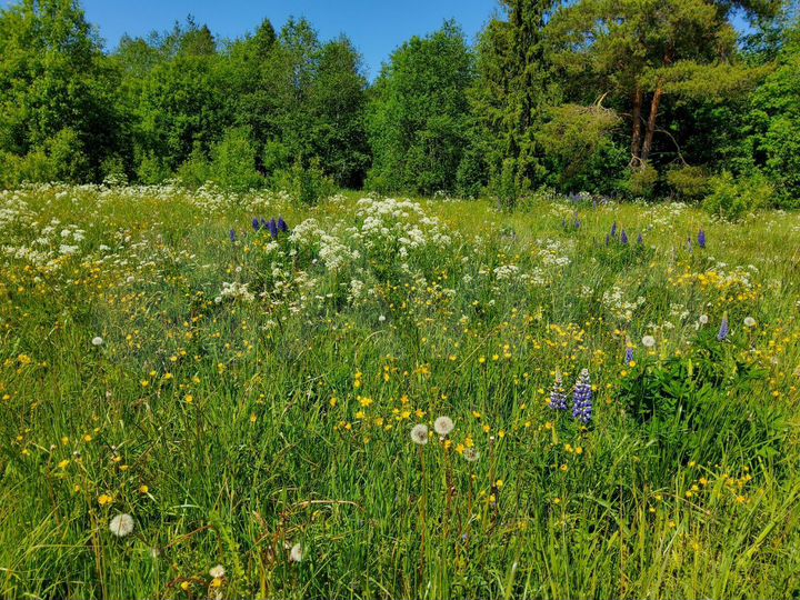 Участок 6,6 сот. (ИЖС)