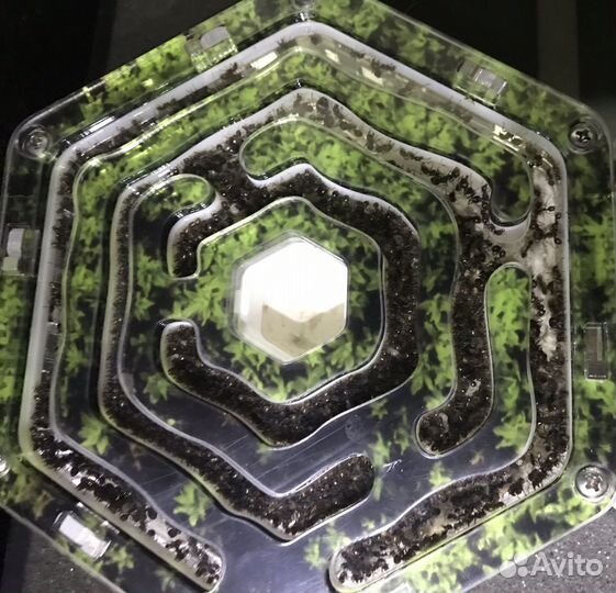 Муравьиная ферма из трех модулей