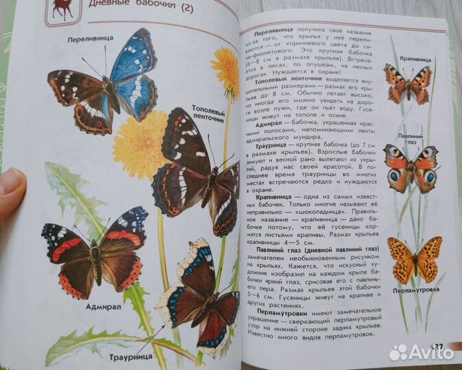 Атлас-определитель. От земли до неба. А.А.Плешаков