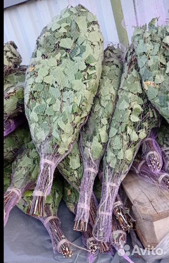 Веники березовые для бани опт доставка банные