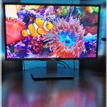 Купить монитор ASUS VG279Q 🖥️ по низкой цене 💰 на Авито во всех
