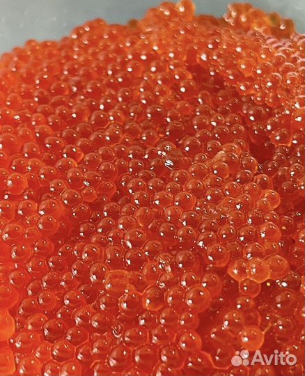 Красная икра горбуши