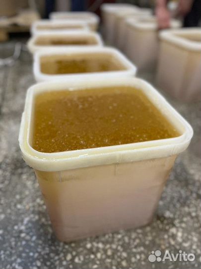 Оптом мед донник