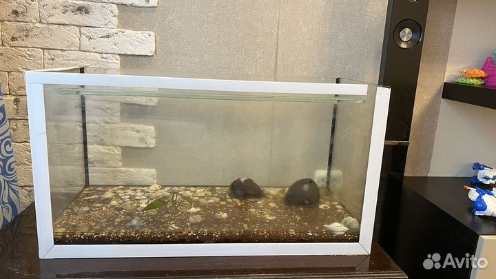 Аквариум террариум