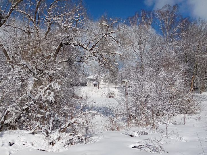 Дом 53,5 м² на участке 31 сот.