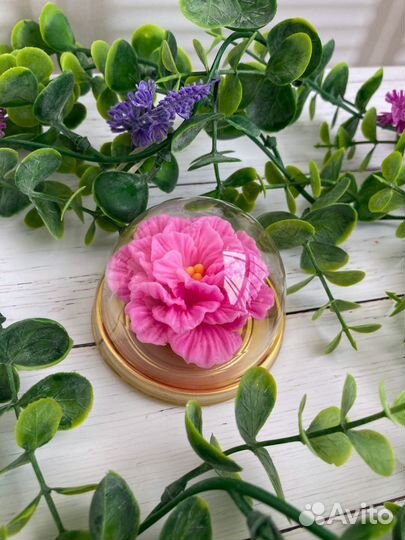 Мыло ручной работы (Кларкия)