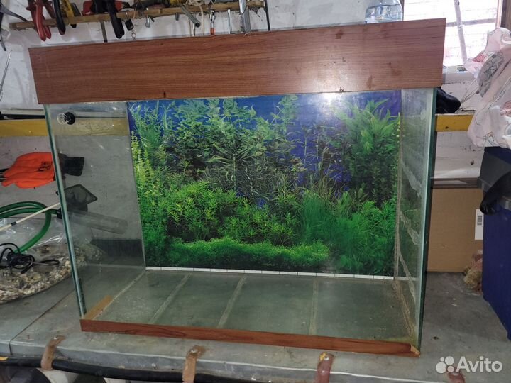 Аквариум на 50 литров