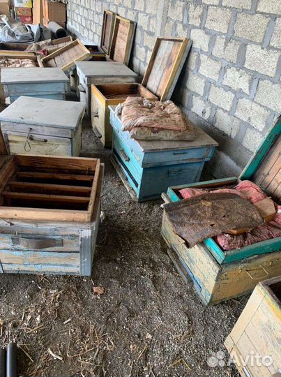 Улья для пчёл