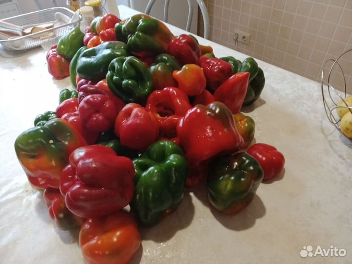 Семена сладкого перца 