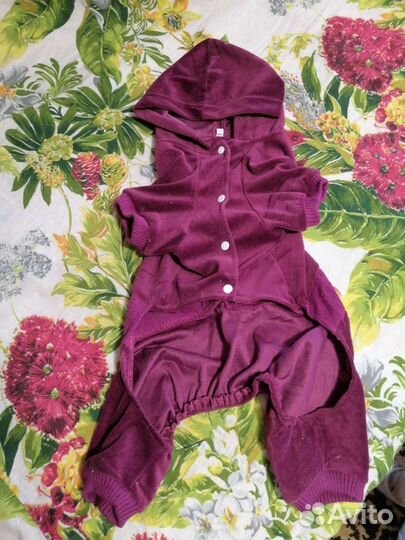 Костюмы для собаки