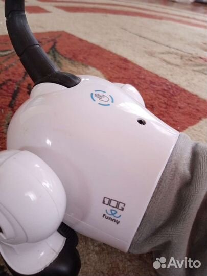 Собака робот