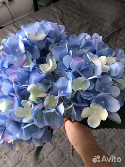 Гортензия икеа