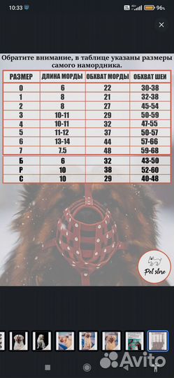 Намордник для собак