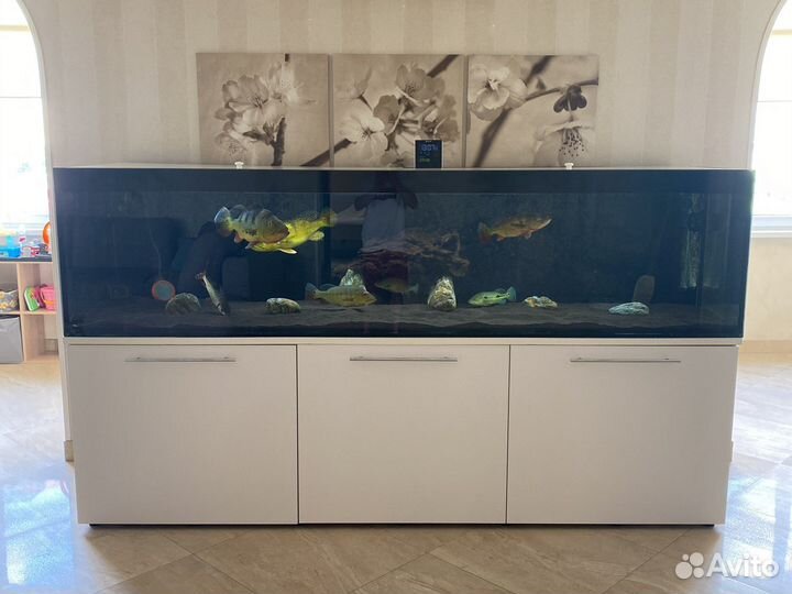 Аквариум с тумбой