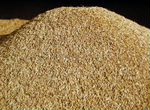 Зерно пшеница и ячмень