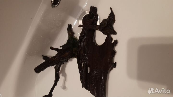 Коряга мангровая в аквариум, цена за 1фото