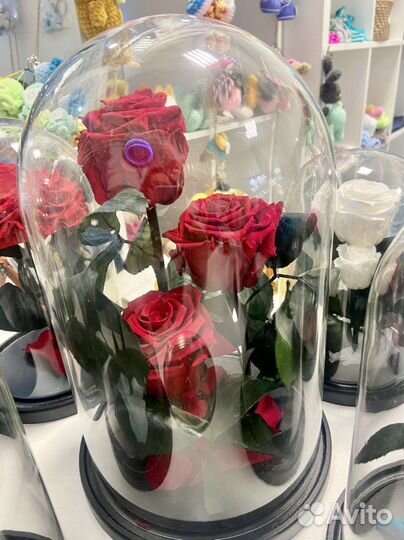 Роза в колбе