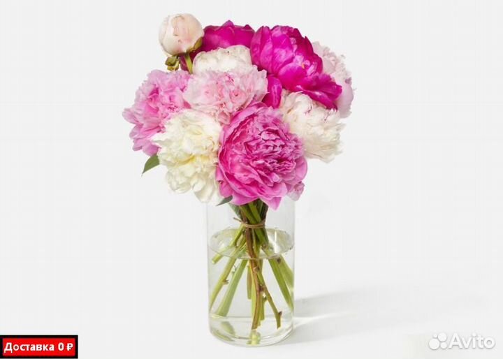 Пионы онлайн