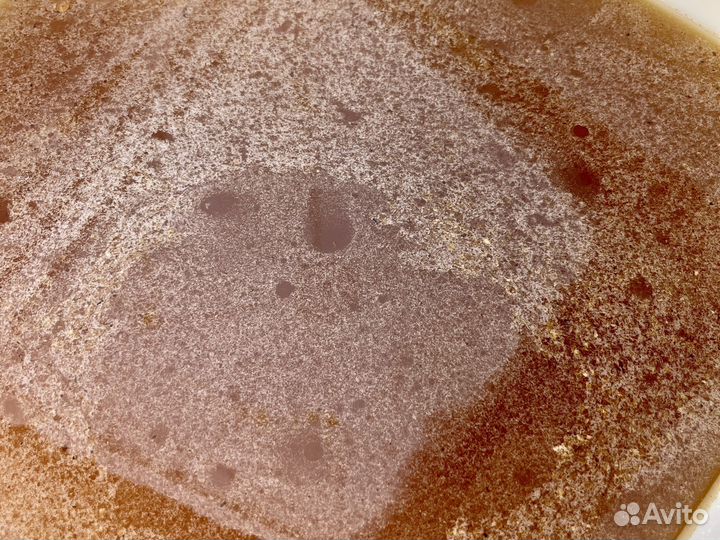 Продам мед оптом с личной пасеки 2023 года