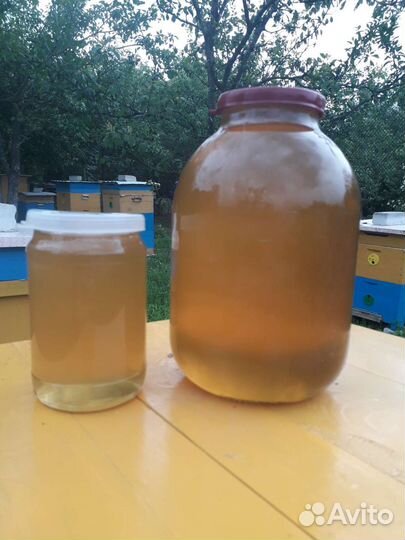 Майский Мёд