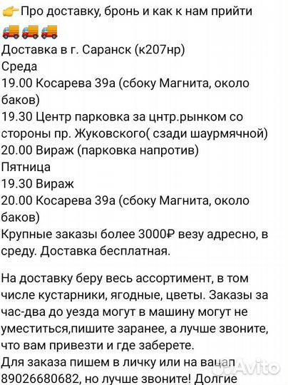 Хризантема Мультифлора