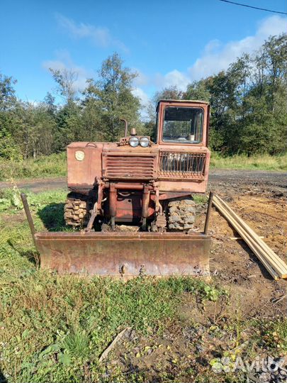 Трактор трелевочный тдт 55а