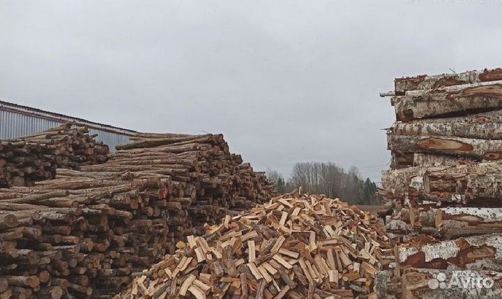 Дрова березовые колотые DR-9447