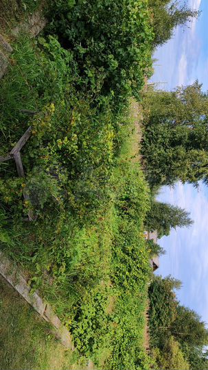 Дача 24 м² на участке 8 сот.