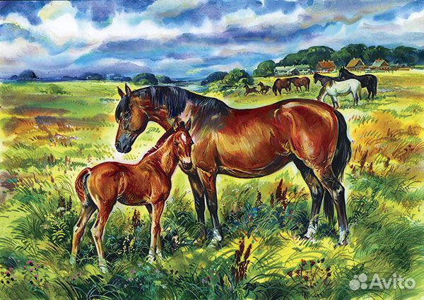 Репродукции картин А2: домашние животные (11 шт)