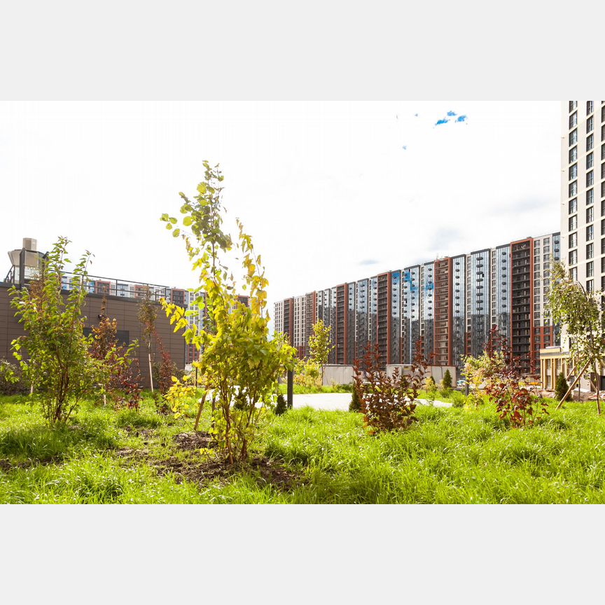 1-к. квартира, 33 м², 11/18 эт.