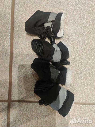 Обувь носочки для собаки