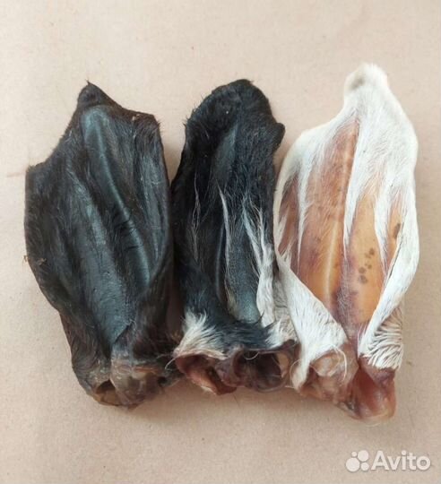 Говяжье легкое для собак, ушки, трахея,рубец