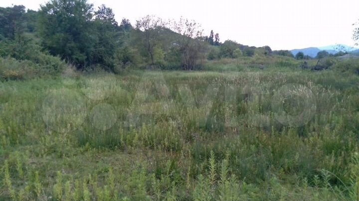 Участок 630 м² (Абхазия)