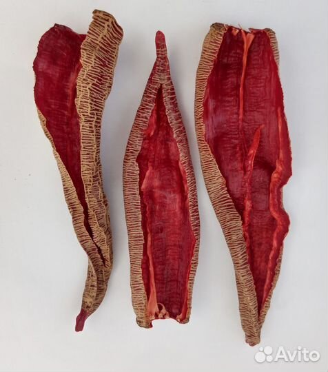 Перец чили «Везанка» («Vezena piperka») 10 семян