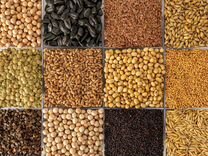 Зерно и корма для с/х животных и птиц