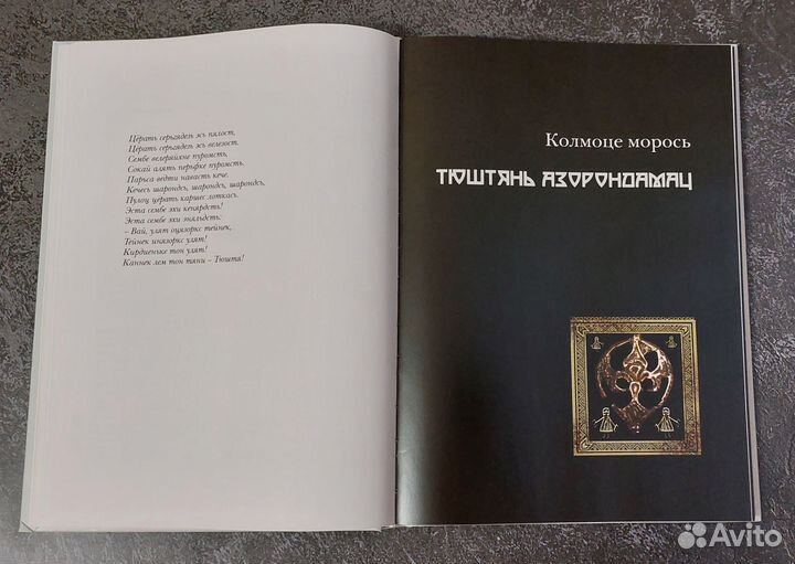 Масторава 2011 г