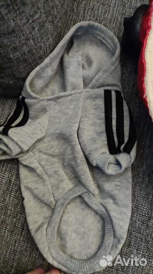 Одежда для собаки