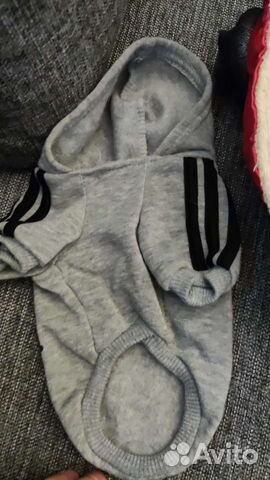 Одежда для собаки